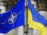 НАТО не будет играть ведущую роль в обеспечении безопасности Евро-2012